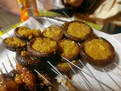 -三圣花乡旅游区