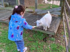 -田园东方蜜桃村的田野营地