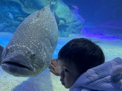 -沈阳海洋探索中心