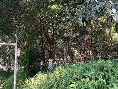 -天河儿童公园