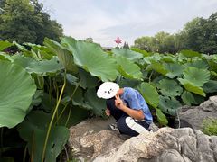 -莲池书院博物馆