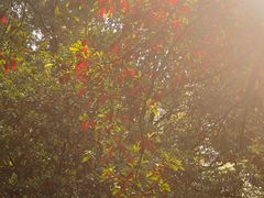 -浙江万里学院(钱湖校区)