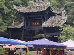 -龙翔山庄雷鸡肉(青城后山泰安古镇店)