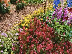 -深圳国际园林花卉博览园