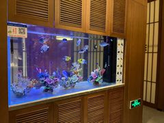 -水之惠鲜鱼料理(王府大街店)