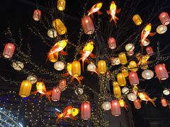 -龙湖星悦荟(颐和店)