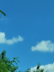 -佛灵湖水上乐园