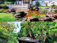 -深圳国际园林花卉博览园