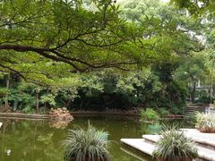 -九龙公园