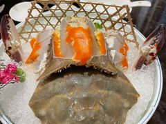 -高佳庄·海鲜酒楼(东港店)