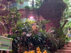 -正佳雨林生态植物园