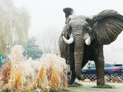 -北京野生动物园