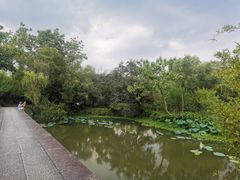 -西溪国家湿地公园