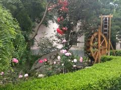 -陕西省红河谷森林公园