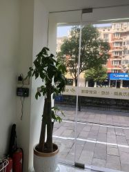 -苗方清颜专业祛痘·皮肤管理