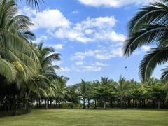 -三亚海棠湾喜来登度假酒店