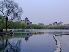 -莲花池公园