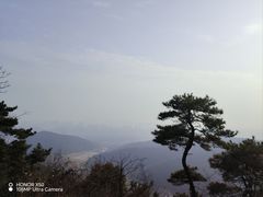 -惠山国家森林公园