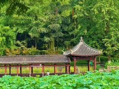 -龙头寺公园