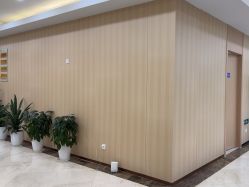 -上海伊莱美医疗美容医院