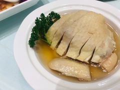-席家花园(巨鹿花园店)