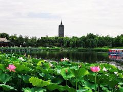 -西海子公园