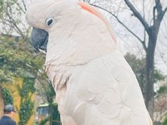 -四海楼(如皋定慧禅寺店)