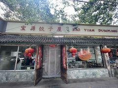 -宝源饺子(麦子店街店)
