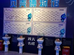 -贝壳梦幻世界