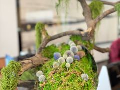 -天津海河悦榕庄·Lobby Lounge大堂吧