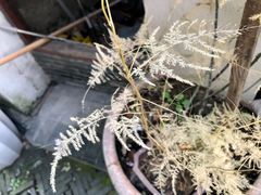 -锦溪古镇