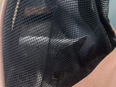 -全心全意连锁动物医院(加州店)