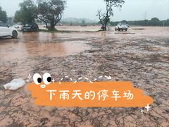 -长洲岛都市农业公园