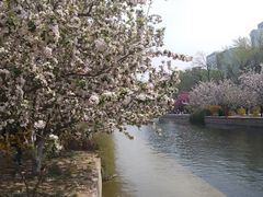 -元大都城垣遗址公园