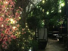 -胡桃里音乐酒馆(石家庄店)