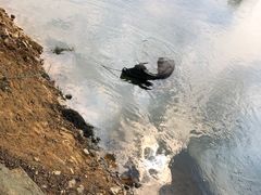 -杭州双溪漂流景区