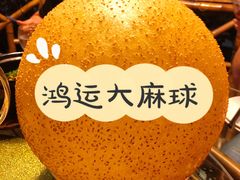 鸿运大麻球-世外桃源农庄·德清土菜(兴康南路店)