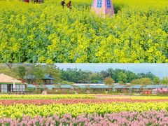 -盈香心动乐园