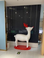 -小阿福儿童摄影(华中智谷店)