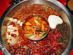 -谭鸭血老火锅(图书馆店)