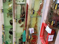 -绢姐海鲜大排档