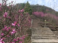 -天台山赤城山景区