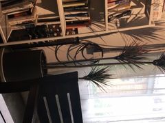 -蓝山四季西餐植物店