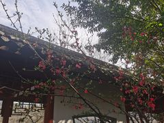 -重庆彩云湖湿地公园