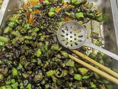 -大邑李记肥肠血旺