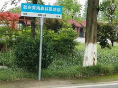 -黄海国家森林公园