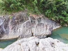 -广州白江湖森林公园