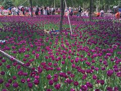 -长春公园(普阳街道)