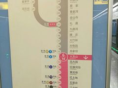 -大龙山(地铁站)