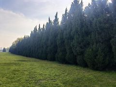 -汉长安城未央宫国家考古遗址公园